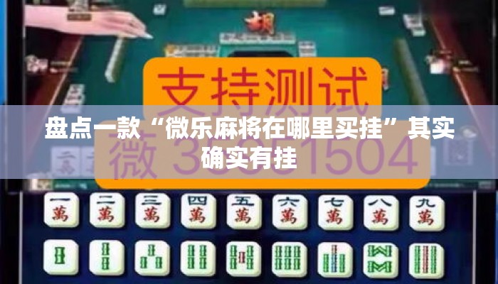 盘点一款“微乐麻将在哪里买挂	”其实确实有挂
