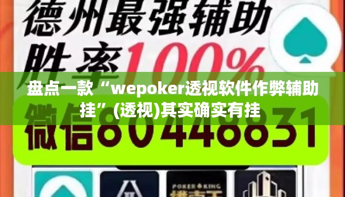 盘点一款“wepoker透视软件作弊辅助挂”(透视)其实确实有挂 