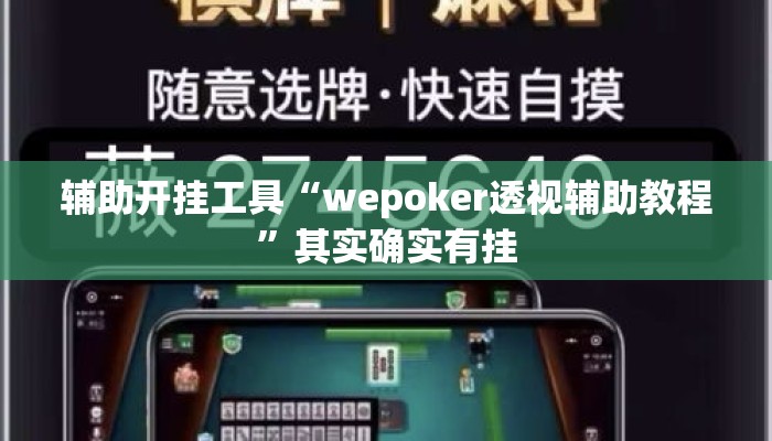 辅助开挂工具“wepoker透视辅助教程”其实确实有挂