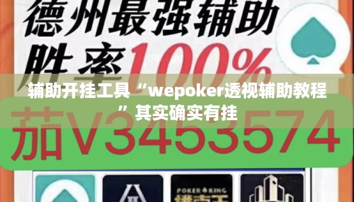 辅助开挂工具“wepoker透视辅助教程”其实确实有挂