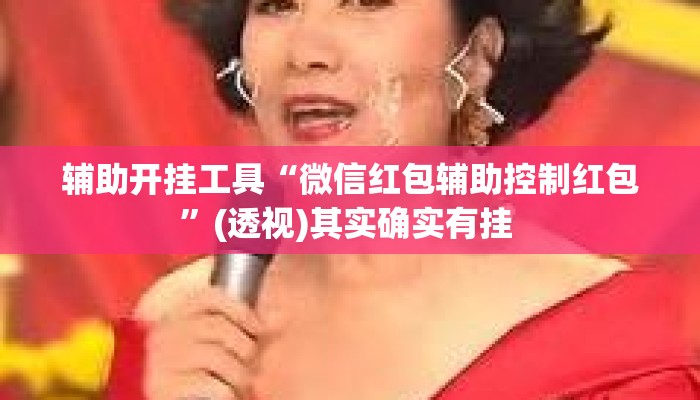 辅助开挂工具“微信红包辅助控制红包”(透视)其实确实有挂 