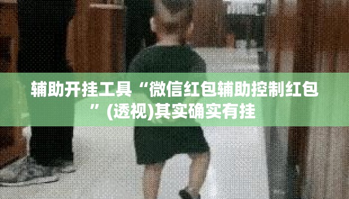 辅助开挂工具“微信红包辅助控制红包”(透视)其实确实有挂 