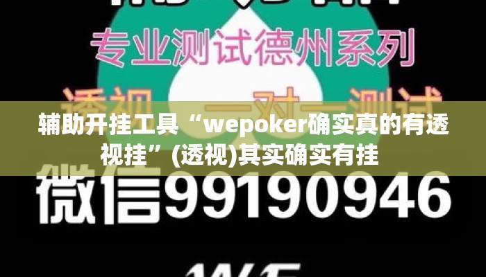 辅助开挂工具“wepoker确实真的有透视挂”(透视)其实确实有挂 