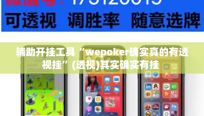 辅助开挂工具“wepoker确实真的有透视挂”(透视)其实确实有挂 