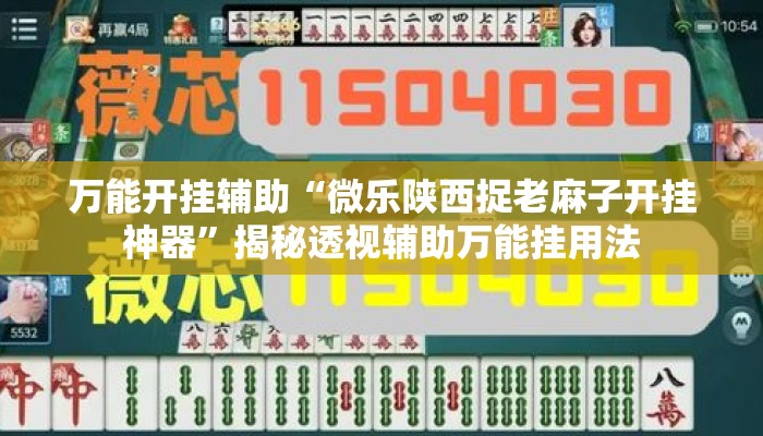 万能开挂辅助“微乐陕西捉老麻子开挂神器”揭秘透视辅助万能挂用法