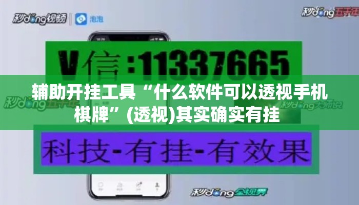 辅助开挂工具“什么软件可以透视手机棋牌”(透视)其实确实有挂 