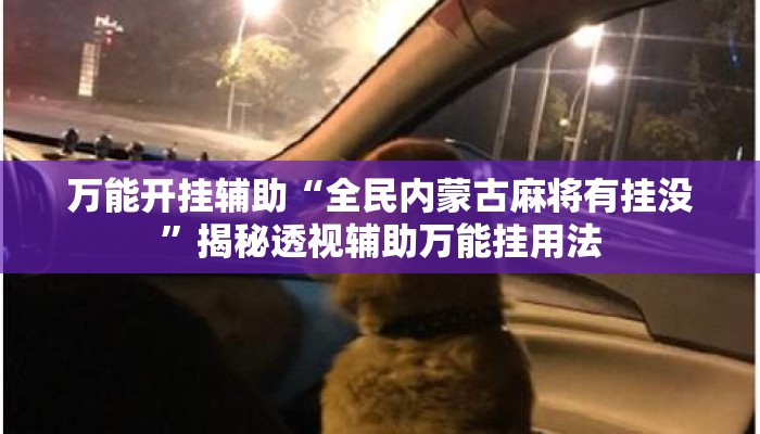 万能开挂辅助“全民内蒙古麻将有挂没”揭秘透视辅助万能挂用法