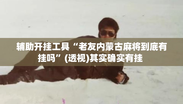 辅助开挂工具“老友内蒙古麻将到底有挂吗”(透视)其实确实有挂 