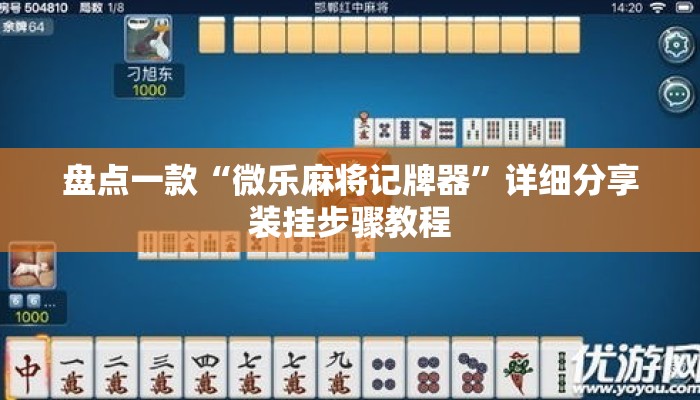 盘点一款“微乐麻将记牌器”详细分享装挂步骤教程