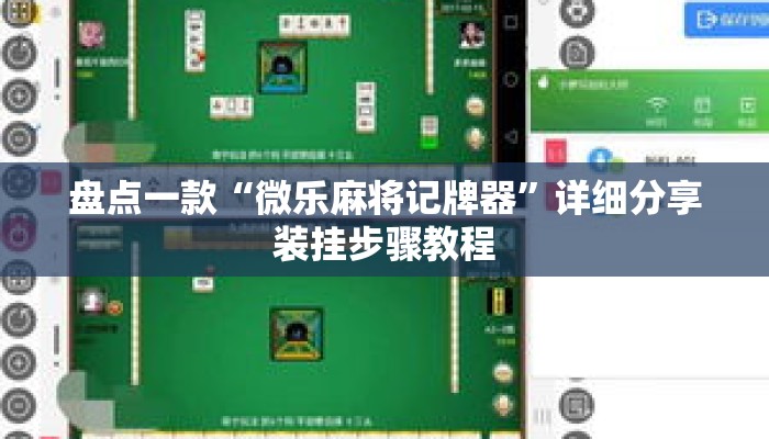 盘点一款“微乐麻将记牌器”详细分享装挂步骤教程