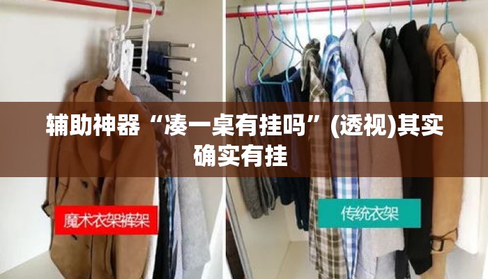 辅助神器“凑一桌有挂吗”(透视)其实确实有挂 