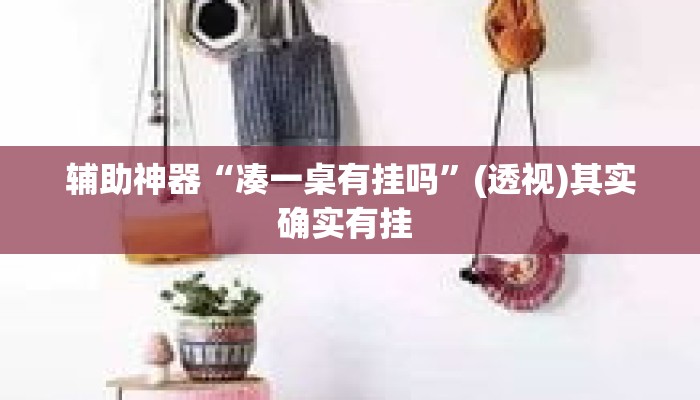 辅助神器“凑一桌有挂吗	”(透视)其实确实有挂 