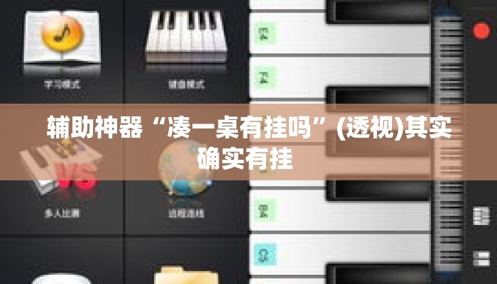 辅助神器“凑一桌有挂吗”(透视)其实确实有挂 