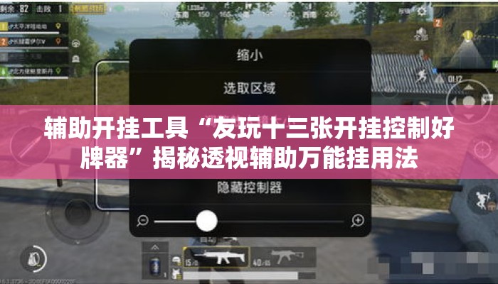 辅助开挂工具“友玩十三张开挂控制好牌器”揭秘透视辅助万能挂用法