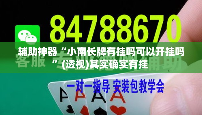 辅助神器“小南长牌有挂吗可以开挂吗”(透视)其实确实有挂 