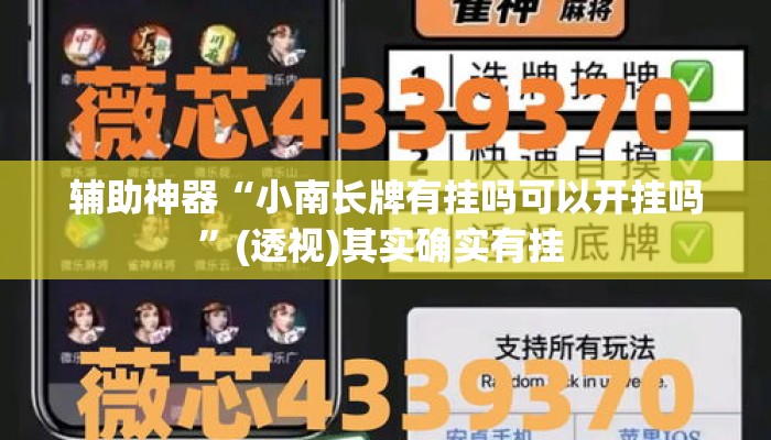 辅助神器“小南长牌有挂吗可以开挂吗”(透视)其实确实有挂 