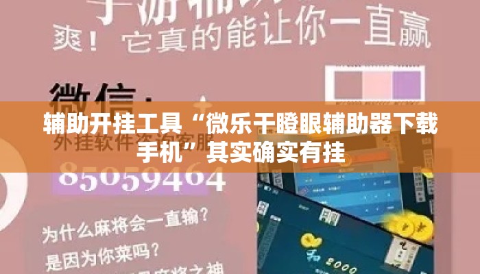 辅助开挂工具“微乐干瞪眼辅助器下载手机”其实确实有挂