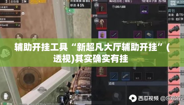 辅助开挂工具“新超凡大厅辅助开挂”(透视)其实确实有挂 