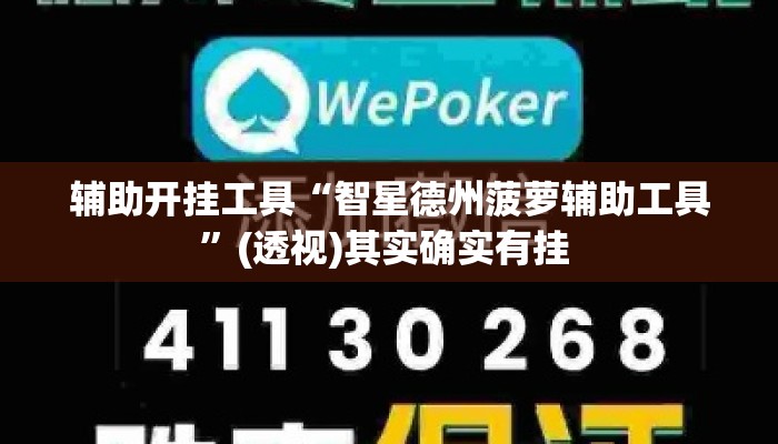 辅助开挂工具“智星德州菠萝辅助工具”(透视)其实确实有挂 