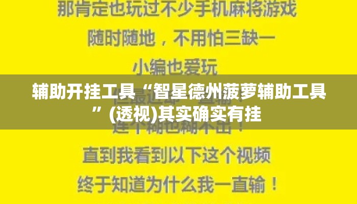 辅助开挂工具“智星德州菠萝辅助工具”(透视)其实确实有挂 