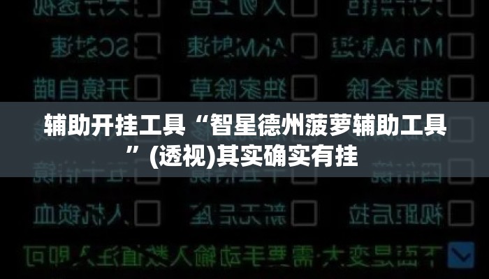 辅助开挂工具“智星德州菠萝辅助工具”(透视)其实确实有挂 
