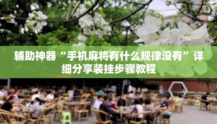 辅助神器“手机麻将有什么规律没有”详细分享装挂步骤教程