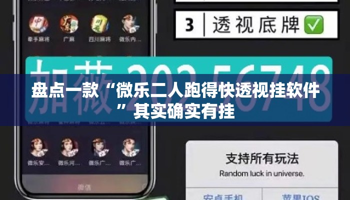 盘点一款“微乐二人跑得快透视挂软件”其实确实有挂