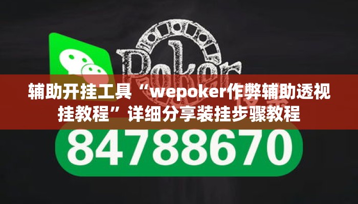 辅助开挂工具“wepoker作弊辅助透视挂教程”详细分享装挂步骤教程