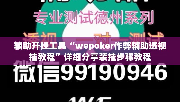 辅助开挂工具“wepoker作弊辅助透视挂教程	”详细分享装挂步骤教程