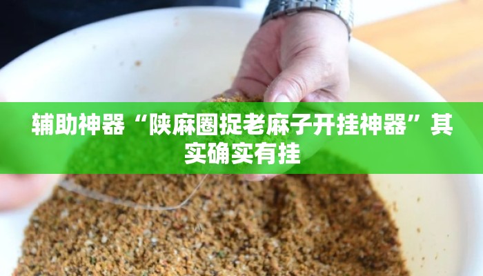 辅助神器“陕麻圈捉老麻子开挂神器”其实确实有挂