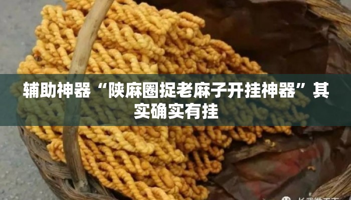 辅助神器“陕麻圈捉老麻子开挂神器”其实确实有挂