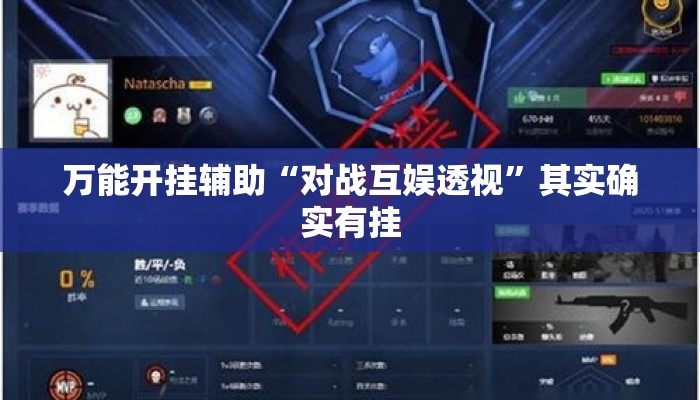 万能开挂辅助“对战互娱透视”其实确实有挂