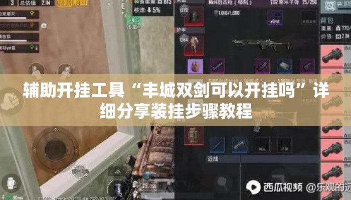 辅助开挂工具“丰城双剑可以开挂吗”详细分享装挂步骤教程