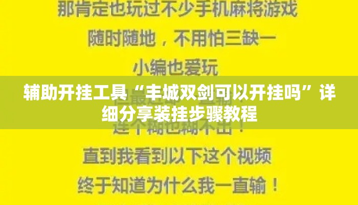 辅助开挂工具“丰城双剑可以开挂吗”详细分享装挂步骤教程