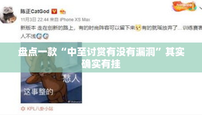 盘点一款“中至讨赏有没有漏洞	”其实确实有挂
