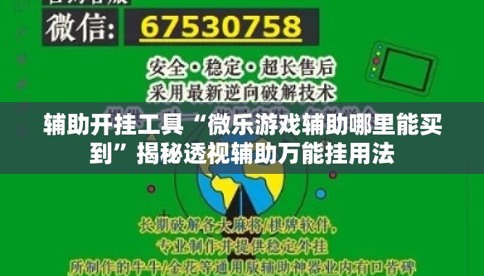 辅助开挂工具“微乐游戏辅助哪里能买到”揭秘透视辅助万能挂用法