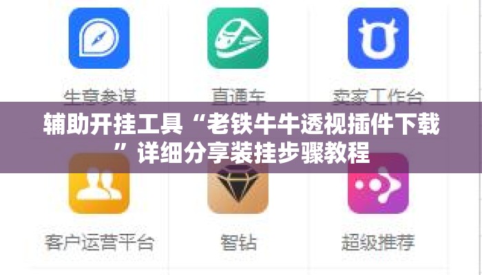 辅助开挂工具“老铁牛牛透视插件下载”详细分享装挂步骤教程