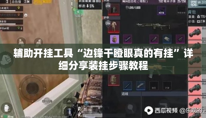 辅助开挂工具“边锋干瞪眼真的有挂”详细分享装挂步骤教程