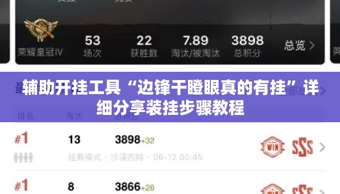 辅助开挂工具“边锋干瞪眼真的有挂”详细分享装挂步骤教程