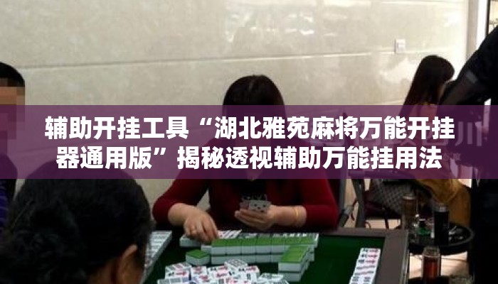 辅助开挂工具“湖北雅苑麻将万能开挂器通用版”揭秘透视辅助万能挂用法