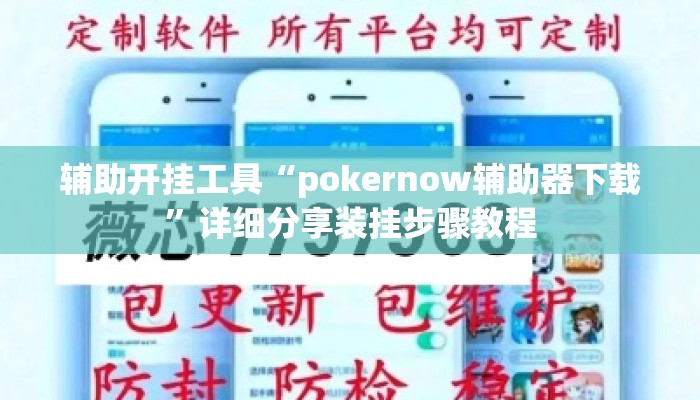辅助开挂工具“pokernow辅助器下载	”详细分享装挂步骤教程