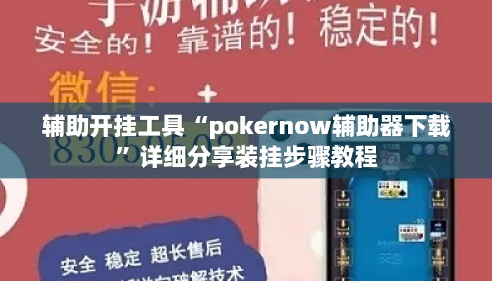 辅助开挂工具“pokernow辅助器下载	”详细分享装挂步骤教程
