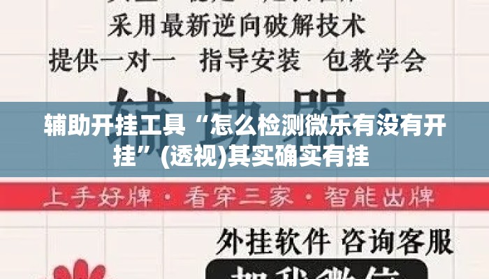 辅助开挂工具“怎么检测微乐有没有开挂	”(透视)其实确实有挂 
