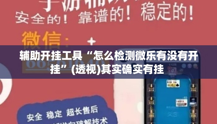 辅助开挂工具“怎么检测微乐有没有开挂”(透视)其实确实有挂 