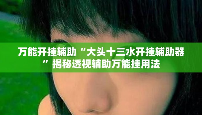 万能开挂辅助“大头十三水开挂辅助器	”揭秘透视辅助万能挂用法