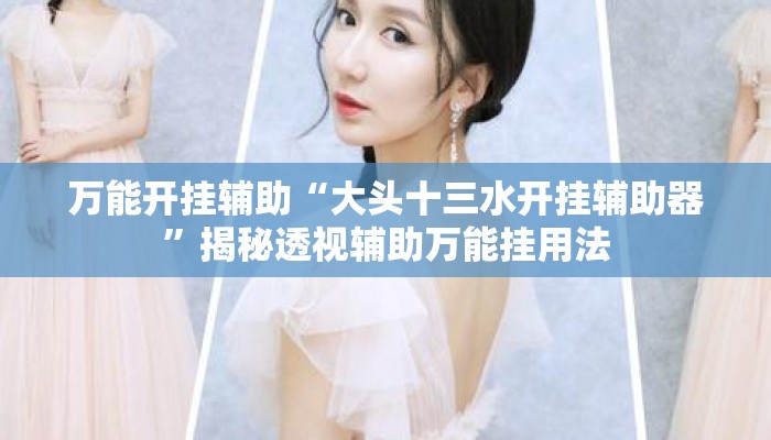 万能开挂辅助“大头十三水开挂辅助器	”揭秘透视辅助万能挂用法
