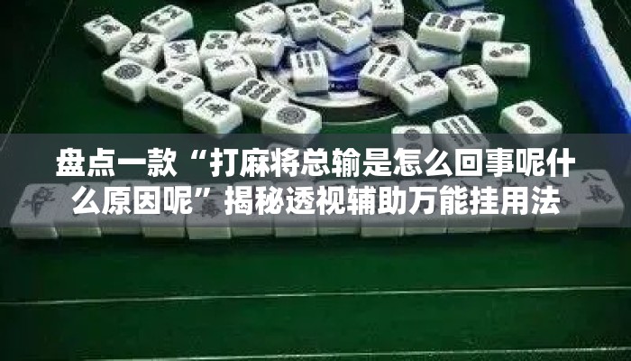 盘点一款“打麻将总输是怎么回事呢什么原因呢”揭秘透视辅助万能挂用法