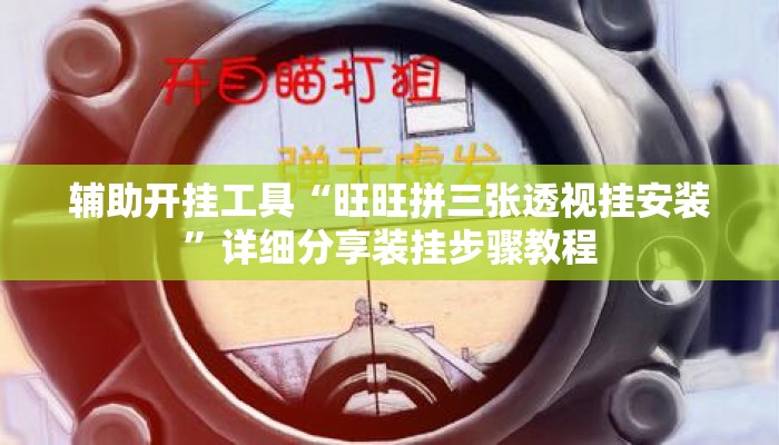 辅助开挂工具“旺旺拼三张透视挂安装”详细分享装挂步骤教程