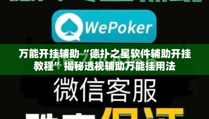 万能开挂辅助“德扑之星软件辅助开挂教程	”揭秘透视辅助万能挂用法