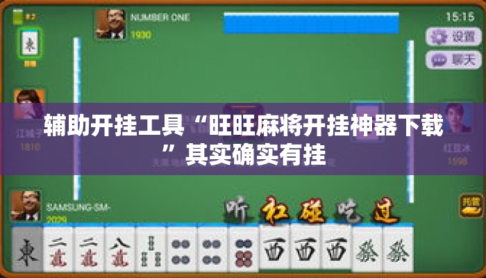 辅助开挂工具“旺旺麻将开挂神器下载”其实确实有挂